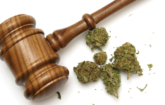 Marijuana Legalization