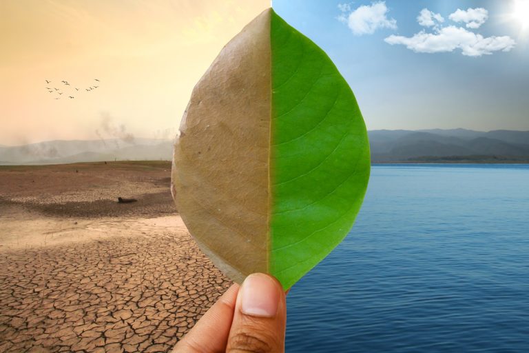 How Construction Can Help Drought Ridden Areas How Construction Can Help Drought Ridden Areas