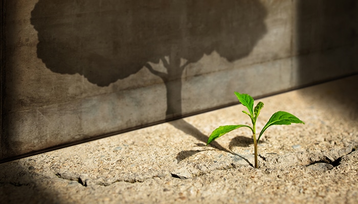 Surety Advice to Start-Up Construction Company Owners